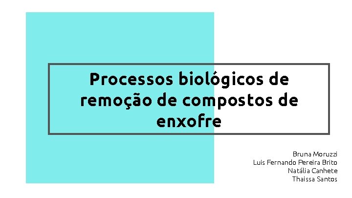 Processos biológicos de remoção de compostos de enxofre Bruna Moruzzi Luis Fernando Pereira Brito