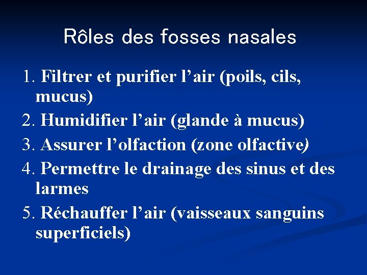 Rôles des fosses nasales 1. Filtrer et purifier l’air (poils, cils, mucus) 2. Humidifier