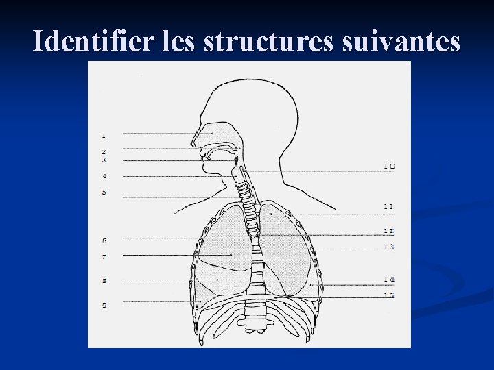 Identifier les structures suivantes 