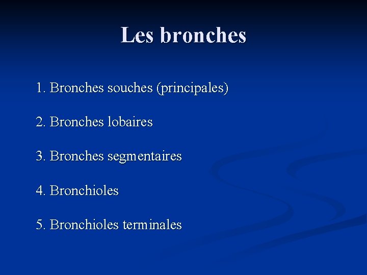 Les bronches 1. Bronches souches (principales) 2. Bronches lobaires 3. Bronches segmentaires 4. Bronchioles