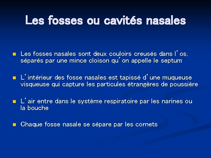 Les fosses ou cavités nasales n Les fosses nasales sont deux couloirs creusés dans