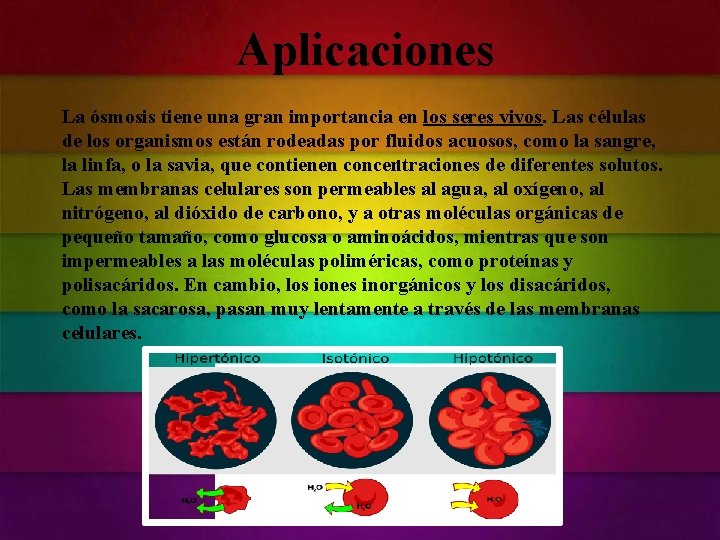 Aplicaciones La ósmosis tiene una gran importancia en los seres vivos. Las células de Aplicaciones La ósmosis tiene una gran importancia en los seres vivos. Las células de