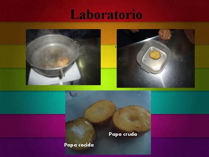 Laboratorio. Papa cruda Papa cocida Laboratorio. Papa cruda Papa cocida