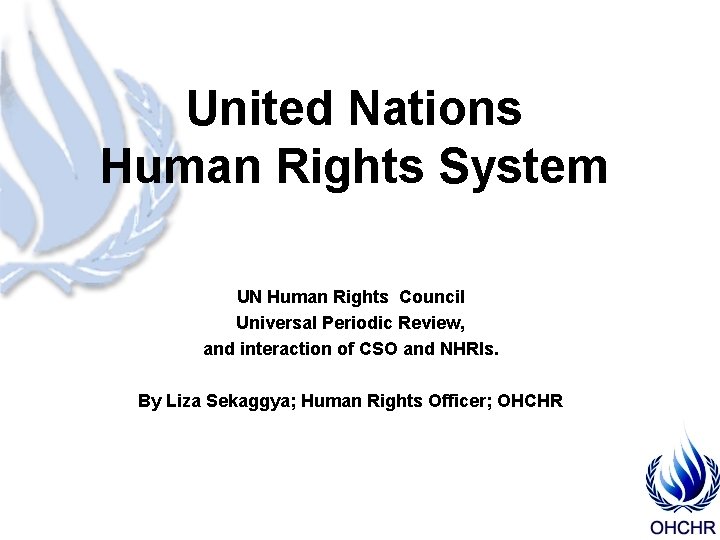 United Nations Human Rights System UN Human Rights Council Universal Periodic Review, and interaction