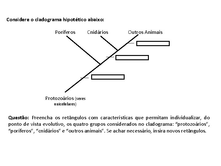 Considere o cladograma hipotético abaixo: Poríferos Cnidários Outros Animais Protozoários (seres unicelulares) Questão: Preencha