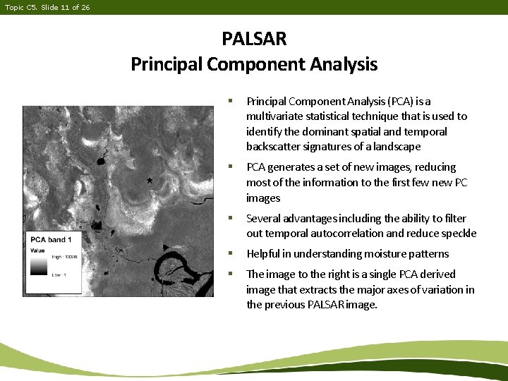 Topic C 5. Slide 11 of 26 PALSAR Principal Component Analysis § Principal Component