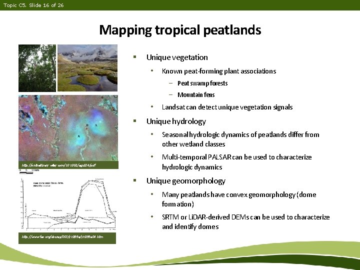 Topic C 5. Slide 16 of 26 Mapping tropical peatlands § Unique vegetation •