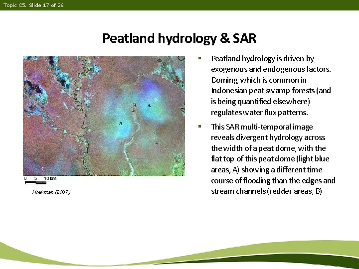 Topic C 5. Slide 17 of 26 Peatland hydrology & SAR Hoekman (2007) §