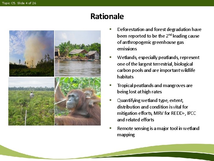 Topic C 5. Slide 4 of 26 Rationale § Deforestation and forest degradation have