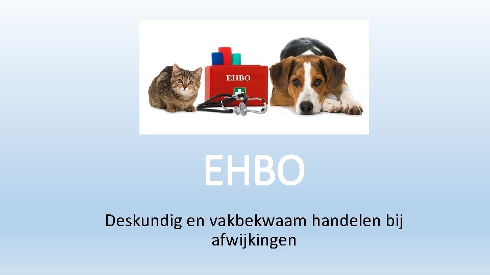 EHBO Deskundig en vakbekwaam handelen bij afwijkingen 