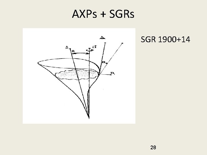 AXPs + SGRs SGR 1900+14 28 