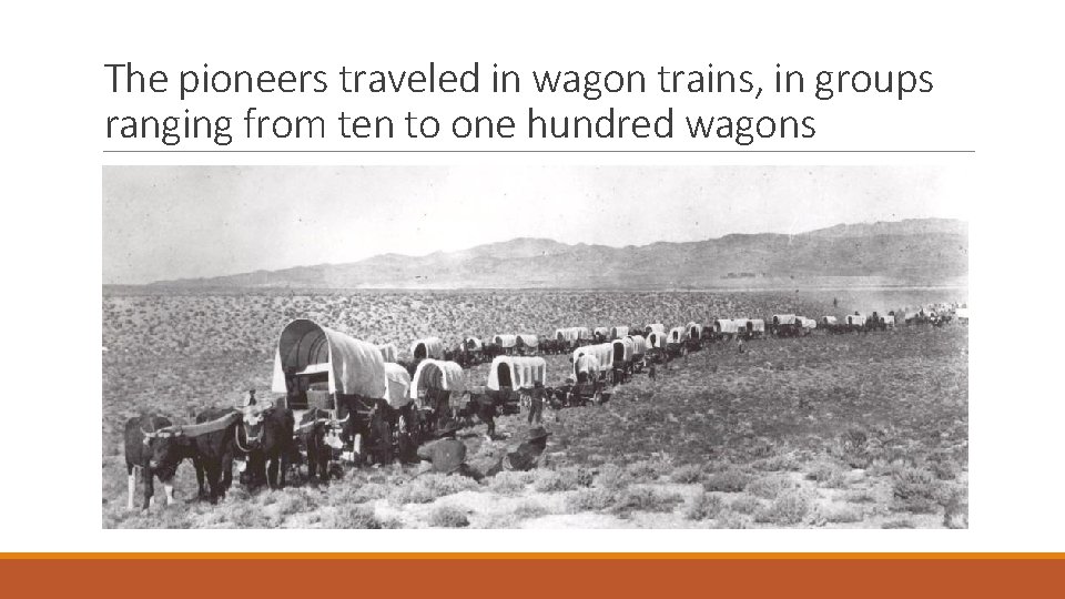 The pioneers traveled in wagon trains, in groups ranging from ten to one hundred