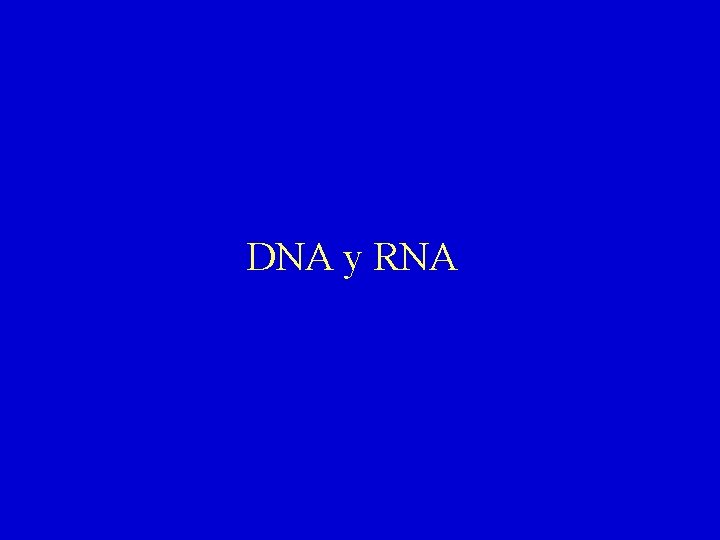 DNA y RNA 