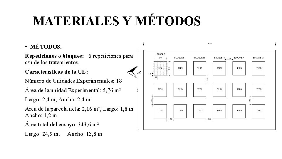 MATERIALES Y MÉTODOS • MÉTODOS. Repeticiones o bloques: 6 repeticiones para c/u de los