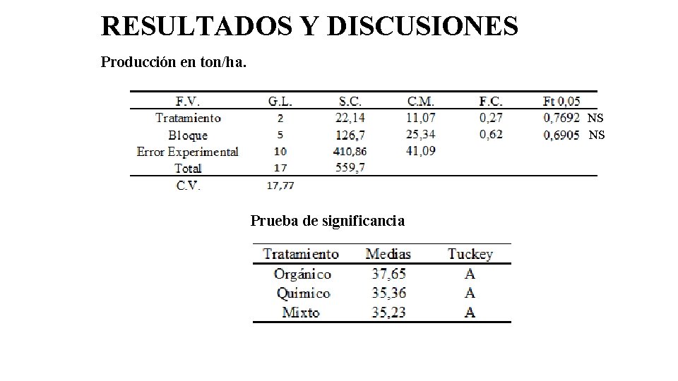 RESULTADOS Y DISCUSIONES Producción en ton/ha. NS NS Prueba de significancia 
