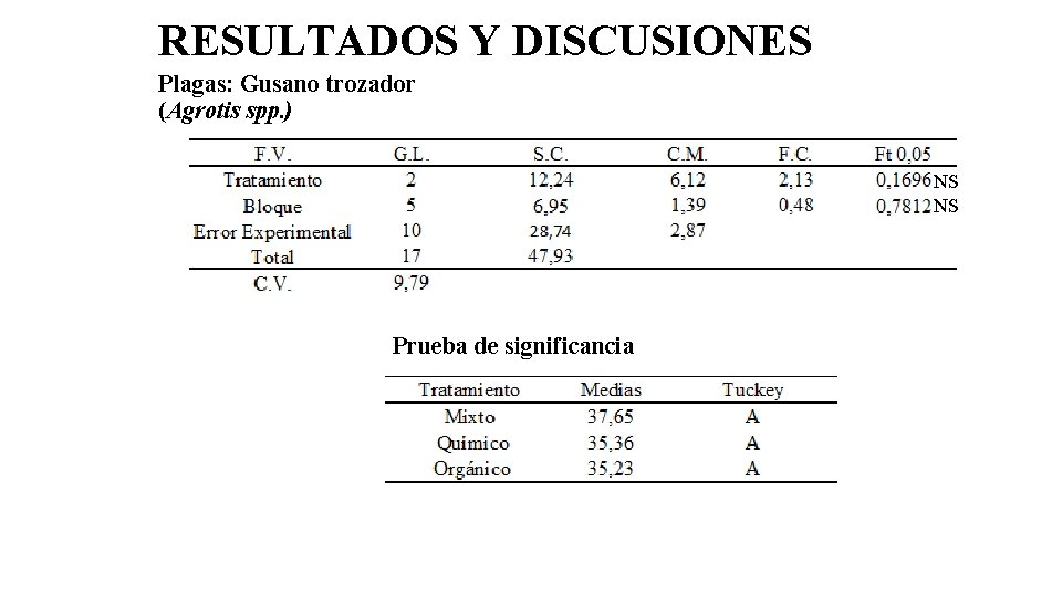 RESULTADOS Y DISCUSIONES Plagas: Gusano trozador (Agrotis spp. ) NS NS Prueba de significancia