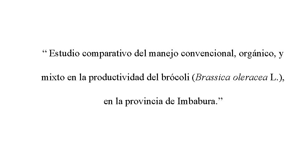 “ Estudio comparativo del manejo convencional, orgánico, y mixto en la productividad del brócoli