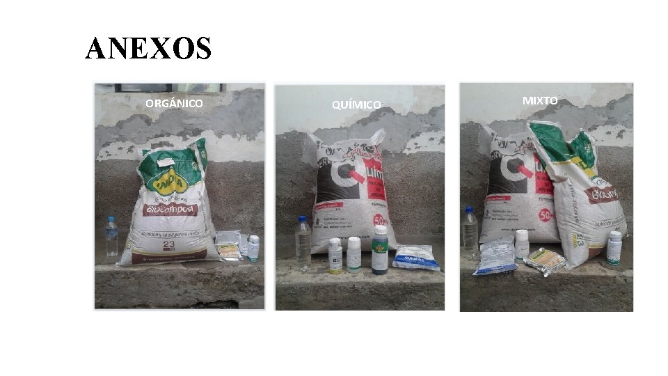 ANEXOS ORGÁNICO QUÍMICO MIXTO 