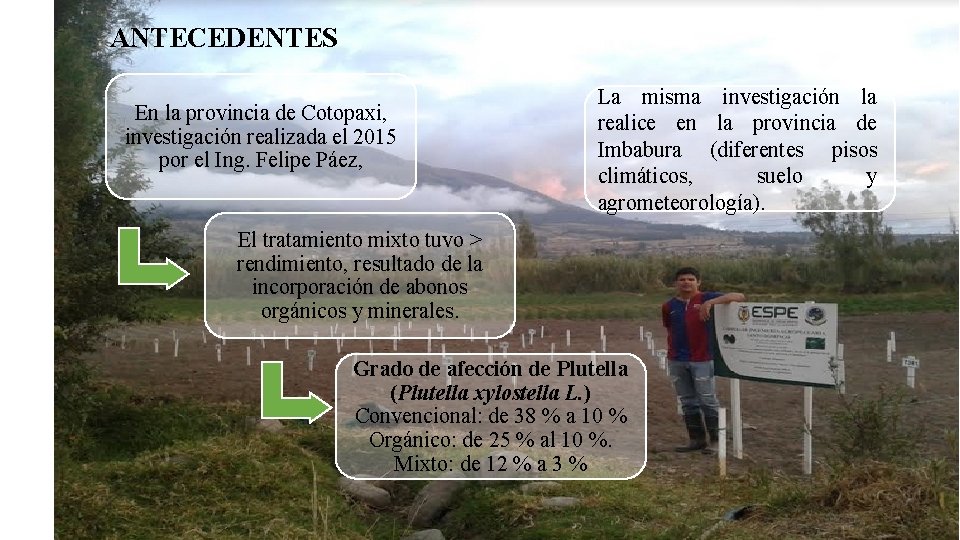 ANTECEDENTES En la provincia de Cotopaxi, investigación realizada el 2015 por el Ing. Felipe