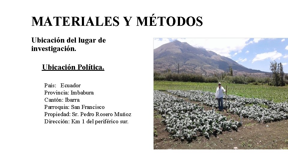 MATERIALES Y MÉTODOS Ubicación del lugar de investigación. Ubicación Política. País: Ecuador Provincia: Imbabura