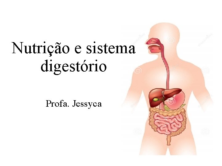 Nutrição e sistema digestório Profa. Jessyca Nutrição e sistema digestório Profa. Jessyca
