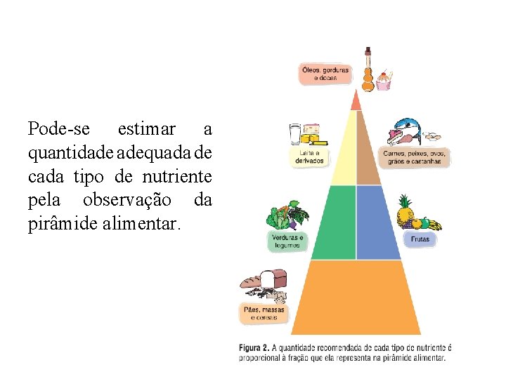 Pode-se estimar a quantidade adequada de cada tipo de nutriente pela observação da pirâmide Pode-se estimar a quantidade adequada de cada tipo de nutriente pela observação da pirâmide