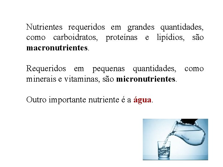 Nutrientes requeridos em grandes quantidades, como carboidratos, proteínas e lipídios, são macronutrientes. Requeridos em Nutrientes requeridos em grandes quantidades, como carboidratos, proteínas e lipídios, são macronutrientes. Requeridos em