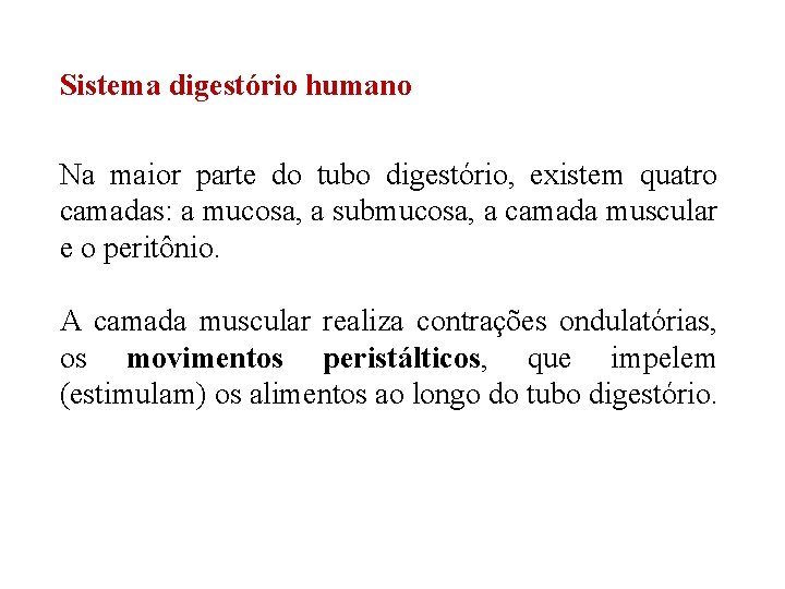 Sistema digestório humano Na maior parte do tubo digestório, existem quatro camadas: a mucosa, Sistema digestório humano Na maior parte do tubo digestório, existem quatro camadas: a mucosa,