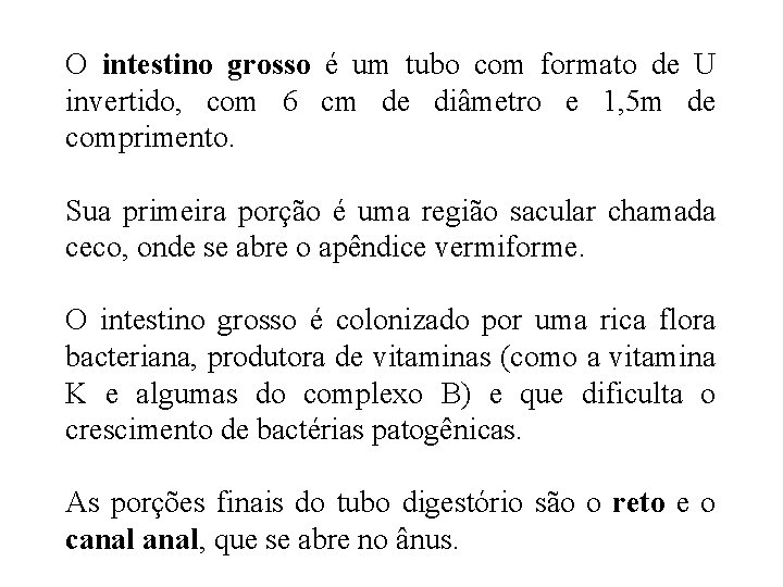 O intestino grosso é um tubo com formato de U invertido, com 6 cm O intestino grosso é um tubo com formato de U invertido, com 6 cm