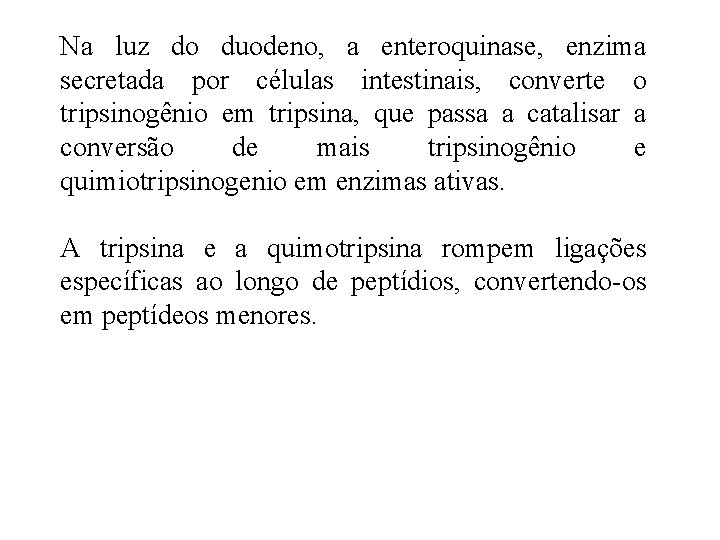 Na luz do duodeno, a enteroquinase, enzima secretada por células intestinais, converte o tripsinogênio Na luz do duodeno, a enteroquinase, enzima secretada por células intestinais, converte o tripsinogênio