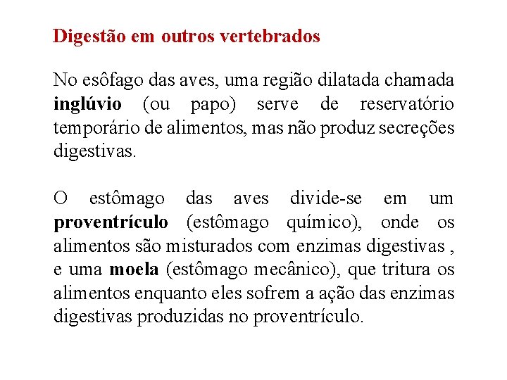 Digestão em outros vertebrados No esôfago das aves, uma região dilatada chamada inglúvio (ou Digestão em outros vertebrados No esôfago das aves, uma região dilatada chamada inglúvio (ou