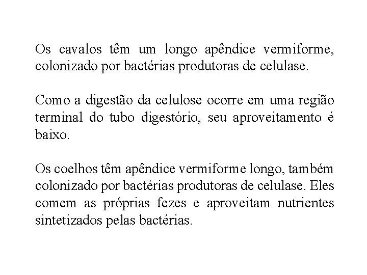 Os cavalos têm um longo apêndice vermiforme, colonizado por bactérias produtoras de celulase. Como Os cavalos têm um longo apêndice vermiforme, colonizado por bactérias produtoras de celulase. Como