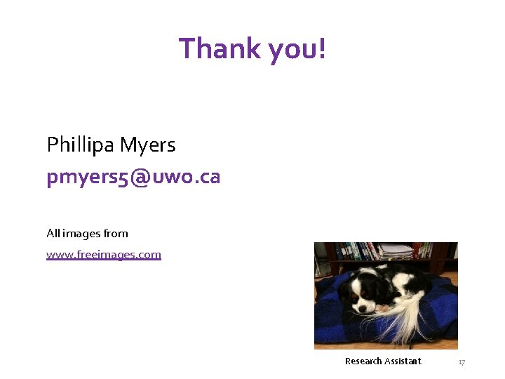 Thank you! Phillipa Myers pmyers 5@uwo. ca All images from www. freeimages. com Research