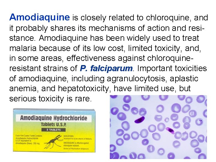 Amodiaquine is closely related to chloroquine, and it probably shares its mechanisms of action