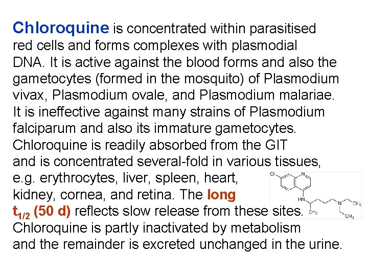 Chloroquine is concentrated within parasitised red cells and forms complexes with plasmodial DNA. It