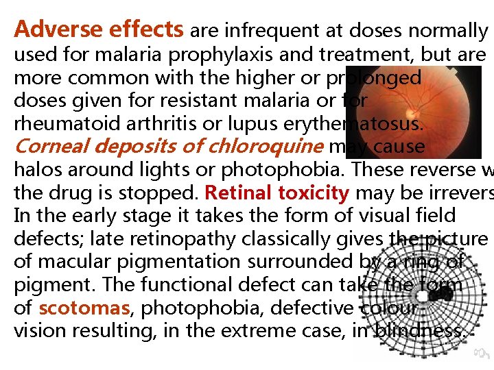 Adverse effects are infrequent at doses normally used for malaria prophylaxis and treatment, but