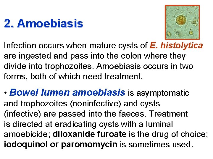 2. Amoebiasis Infection occurs when mature cysts of E. histolytica are ingested and pass