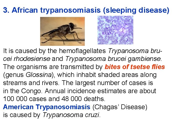 3. African trypanosomiasis (sleeping disease) It is caused by the hemoflagellates Trypanosoma brucei rhodesiense