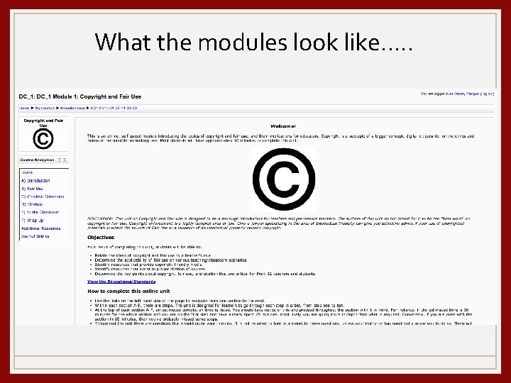 What the modules look like…. . 