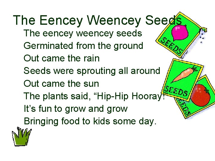 The Eencey Weencey Seeds The eencey weencey seeds Germinated from the ground Out came