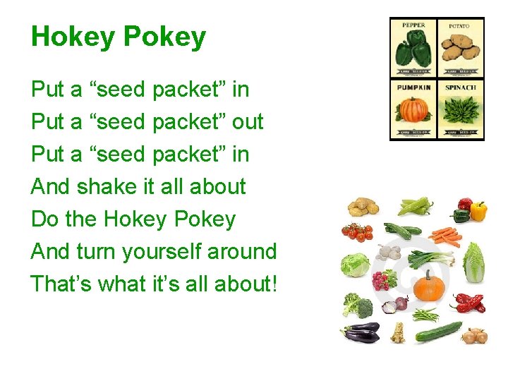 Hokey Put a “seed packet” in Put a “seed packet” out Put a “seed