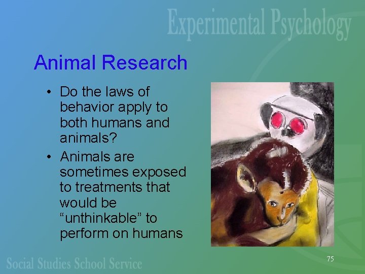 Animal Research • Do the laws of behavior apply to both humans and animals?