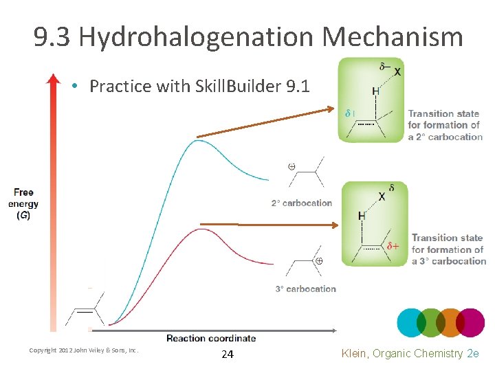 9. 3 Hydrohalogenation Mechanism • Practice with Skill. Builder 9. 1 Copyright 2012 John