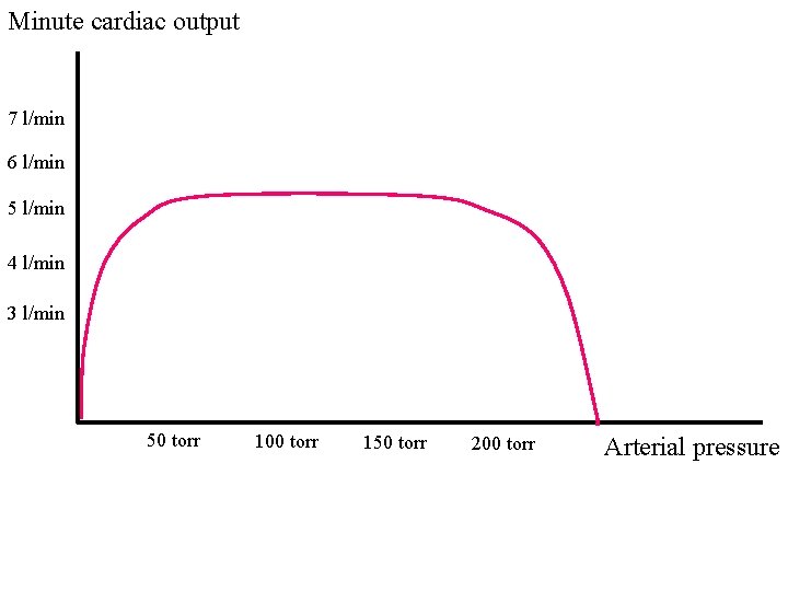 Minute cardiac output 7 l/min 6 l/min 5 l/min 4 l/min 3 l/min 50
