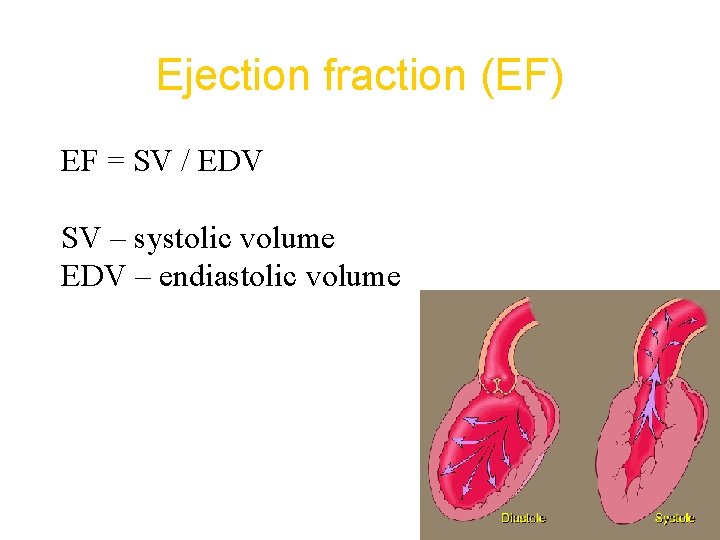 Ejection fraction (EF) EF = SV / EDV SV – systolic volume EDV –