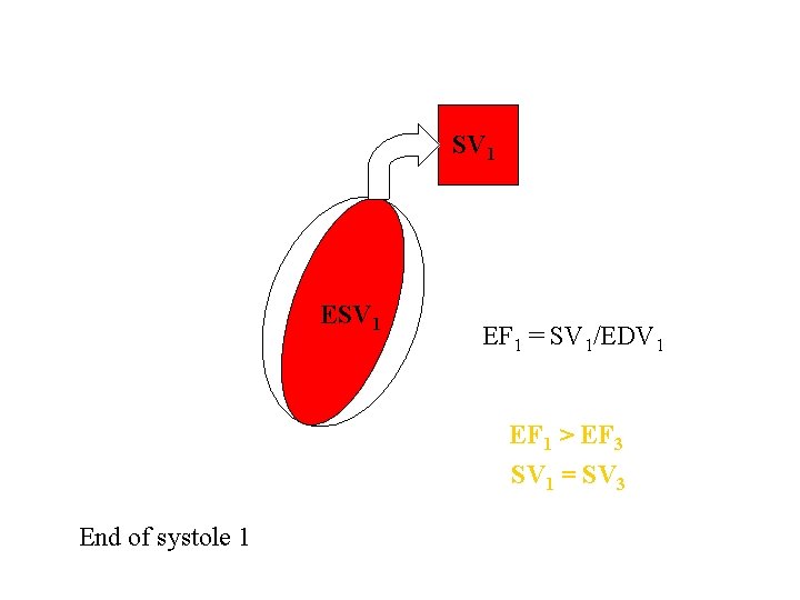 SV 1 EF 1 = SV 1/EDV 1 EF 1 > EF 3 SV