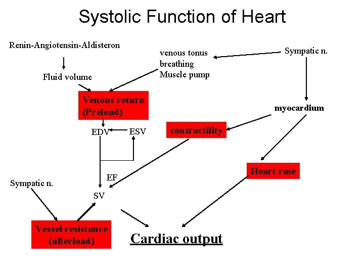 Systolic Function of Heart Renin-Angiotensin-Aldisteron venous tonus breathing Muscle pump Fluid volume Venous return