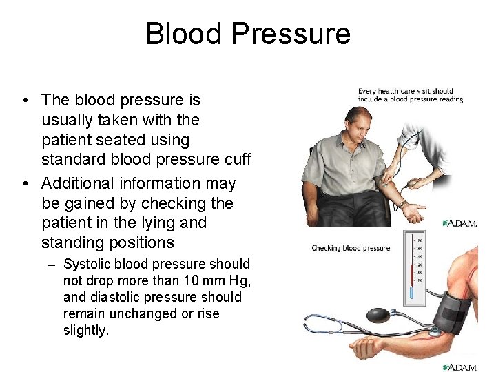 Blood Pressure • The blood pressure is usually taken with the patient seated using