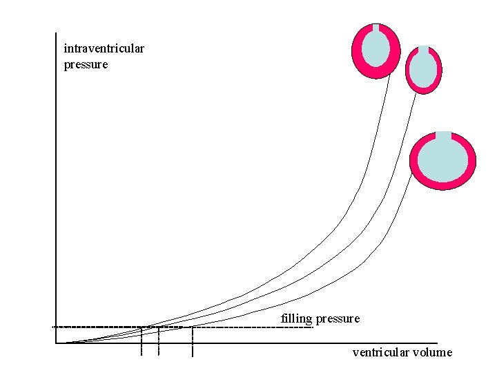 intraventricular pressure filling pressure ventricular volume 