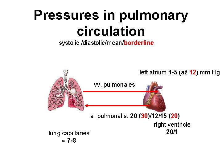 Pressures in pulmonary circulation systolic /diastolic/mean/borderline left atrium 1 -5 (až 12) mm Hg